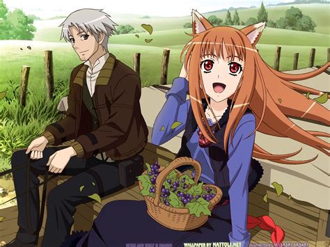 kumapoi|Ookami to Koushinryou (Spice and Wolf) .